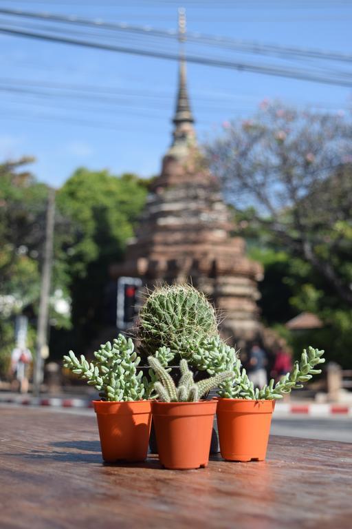 清迈再见住宿加早餐旅馆 清邁 外观 照片